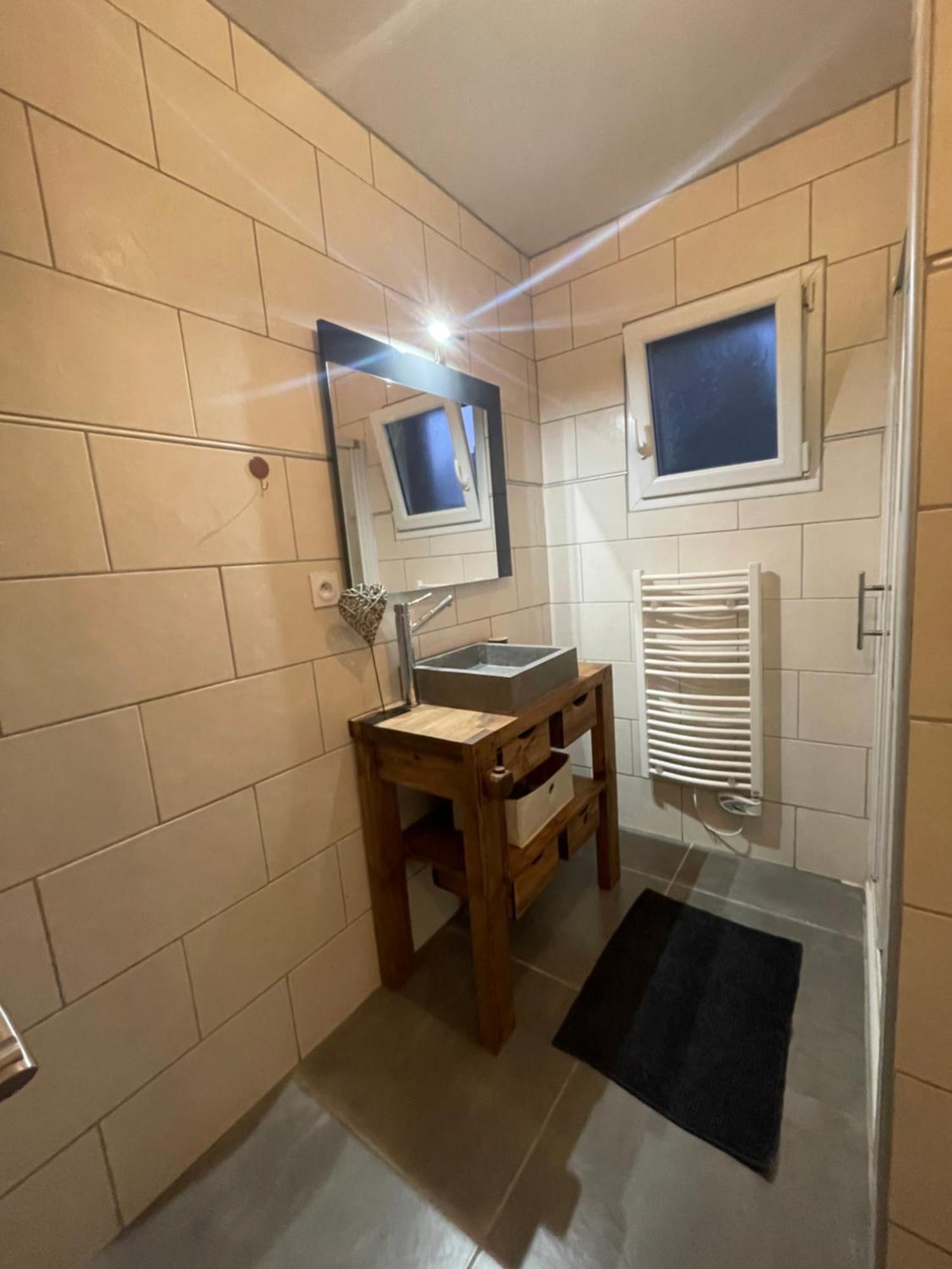 Bel Appartement Dans Residence Cheminee /Jardin Люс-Сен-Совер Екстериор снимка