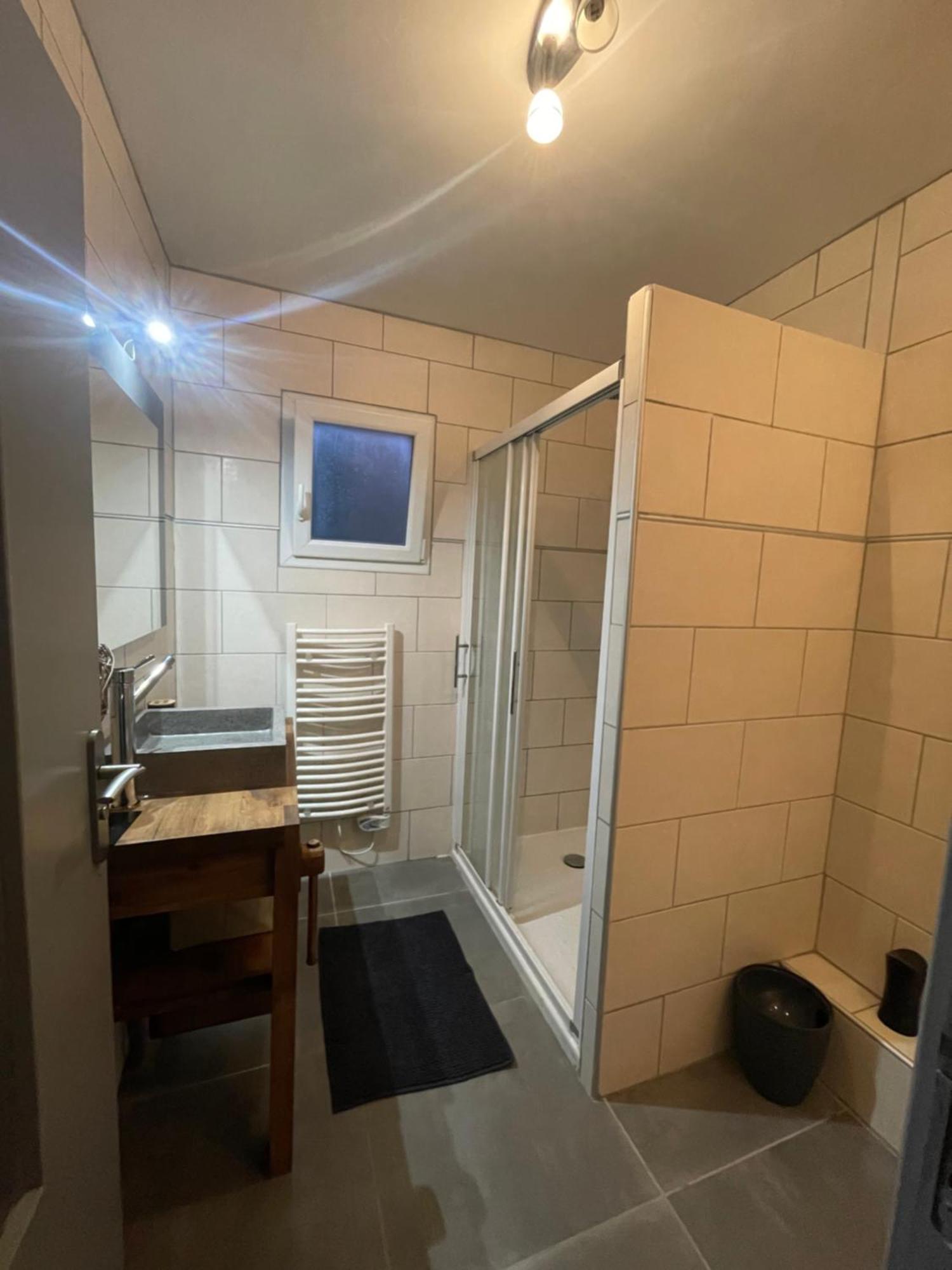 Bel Appartement Dans Residence Cheminee /Jardin Люс-Сен-Совер Екстериор снимка